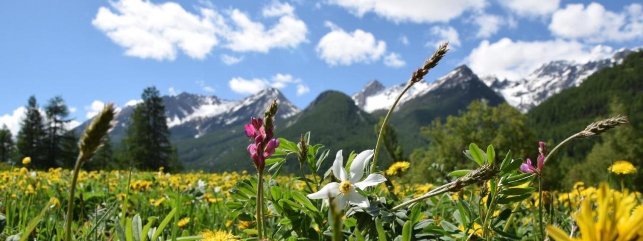 Nice Appt In Briancon Les Charmettes Exteriör bild