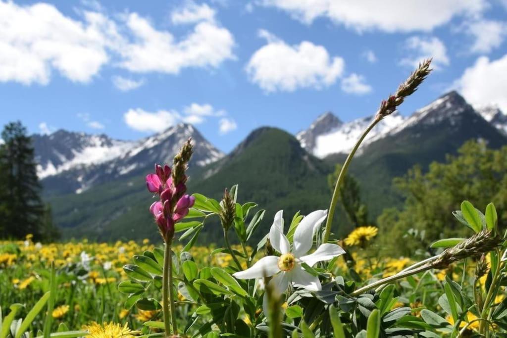 Nice Appt In Briancon Les Charmettes Exteriör bild